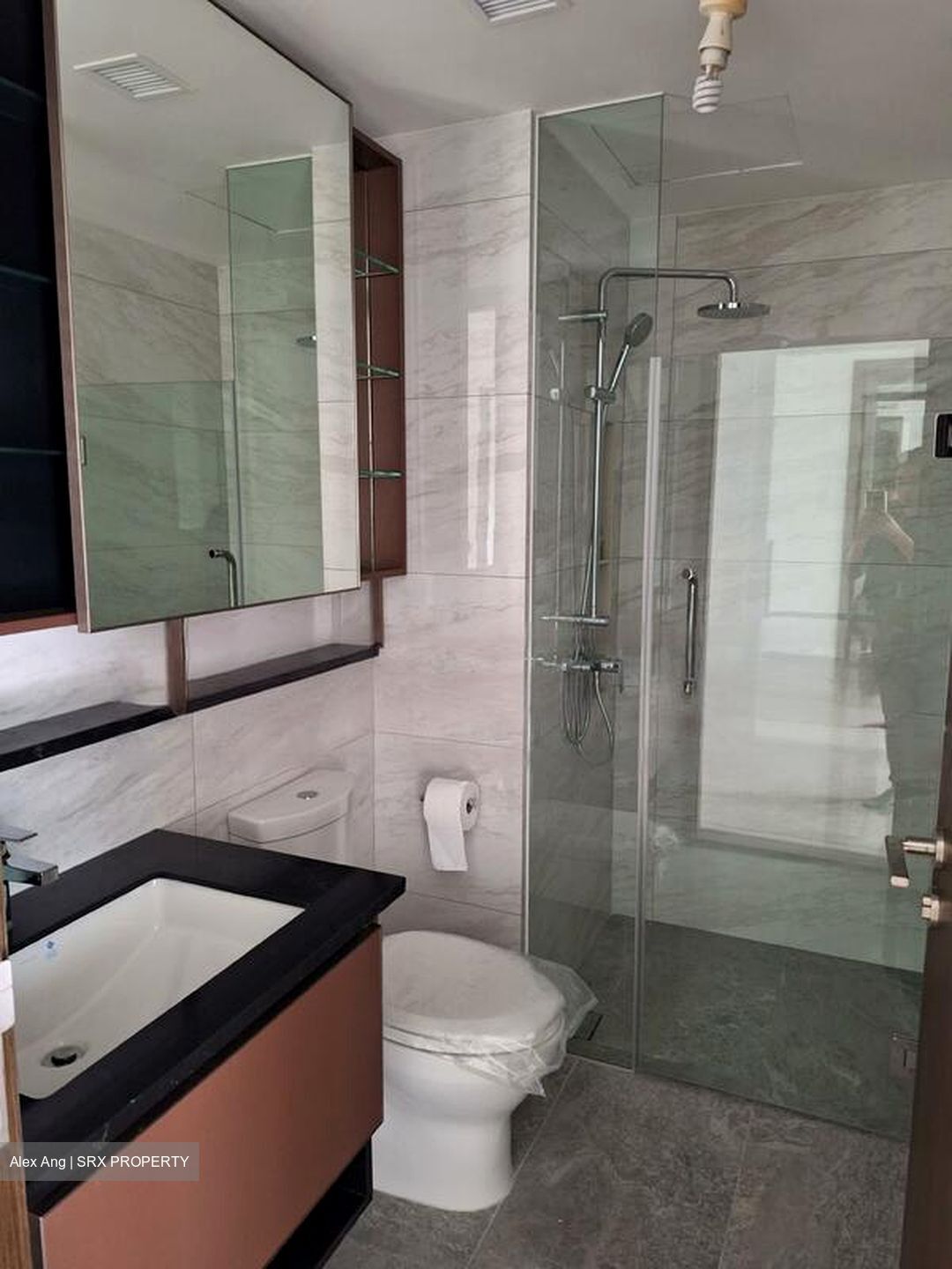 Normanton Park (D5), Apartment #476735651